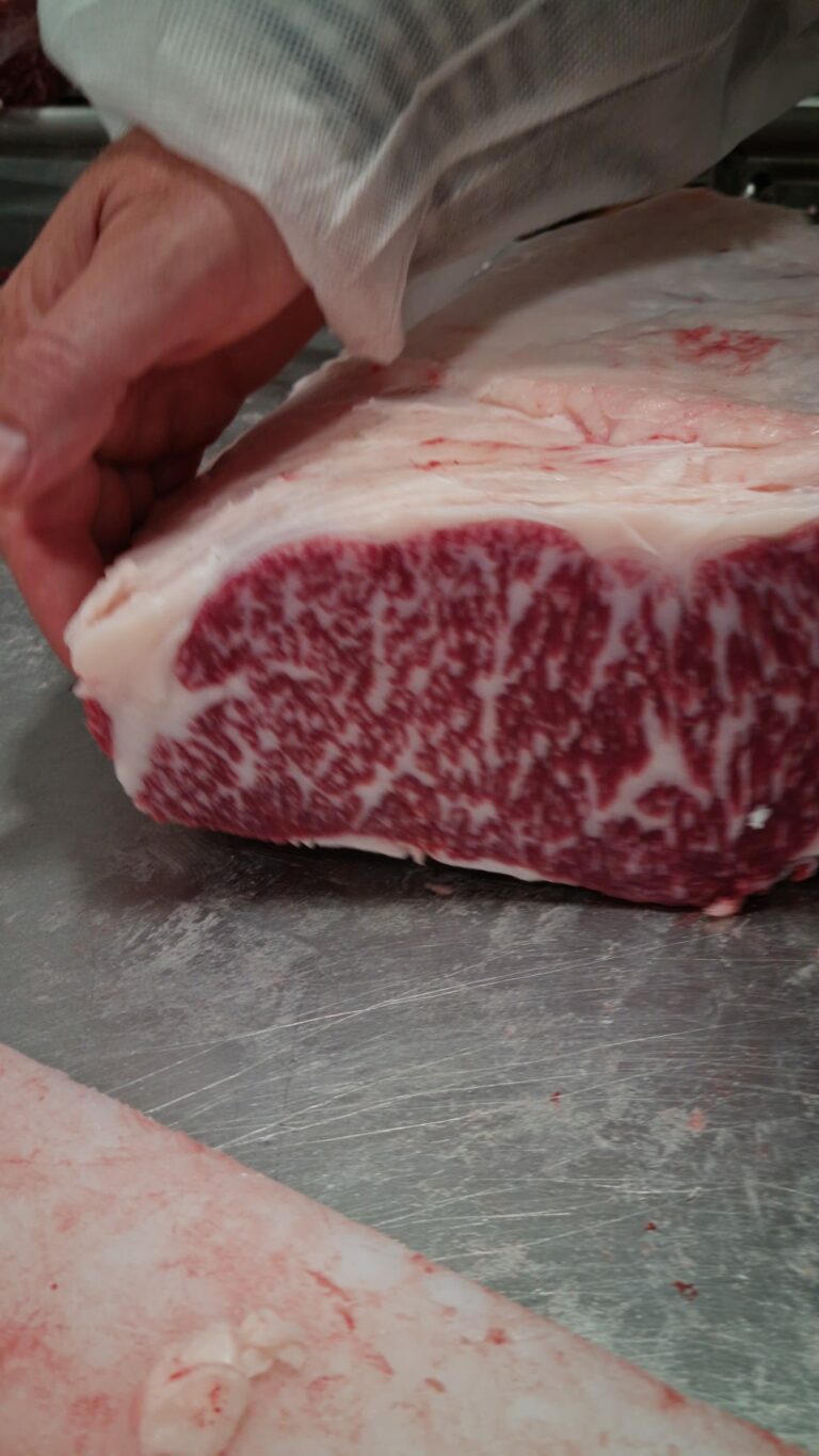 Close-up of A5 +9 full-blood Wagyu showing intense marbling